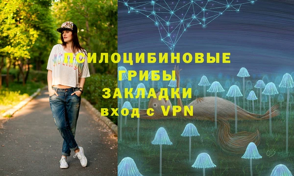 apvp Бугульма