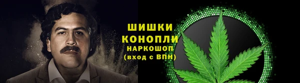 МДПВ Верхний Тагил