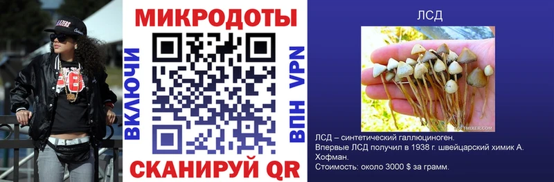 Галлюциногенные грибы Magic Shrooms  сколько стоит  Харабали 